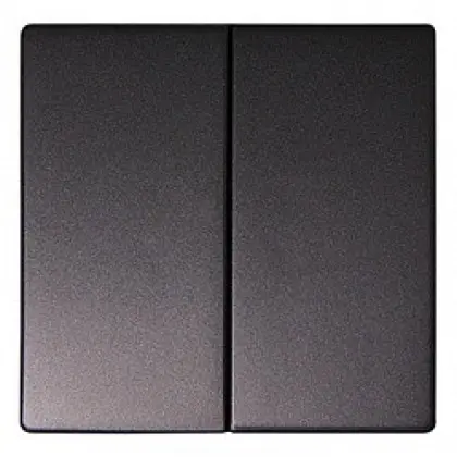 Двойная клавиша E.Next e.lux.11021L.pn.anthracite антрацит (ins0040020) Двойная клавиша E.Next e.lux.11021L.pn.anthracite антрацит (ins0040020)