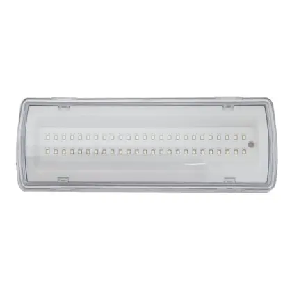 Евакуаційний світильник TNSy UJ02-50LED-4W-6500K-3H-400L-IP65 (TNSy5000560) Евакуаційний світильник TNSy UJ02-50LED-4W-6500K-3H-400L-IP65 (TNSy5000560)