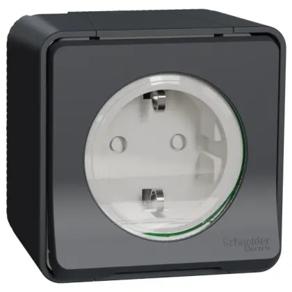 Накладная розетка Schneider Electric MUR36034 с з/к и шторками IP55 (черный)