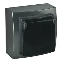 Розетка Nilson Themis антрацит 1-на з заземленням з кришкою ( 26161018 )