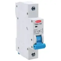 Модульный автоматический выключатель TOSUNlux TSB4-125 1P 100А D 6кА (6931934234121) Модульный автоматический выключатель TOSUNlux TSB4-125 1P 100А D 6кА (6931934234121)