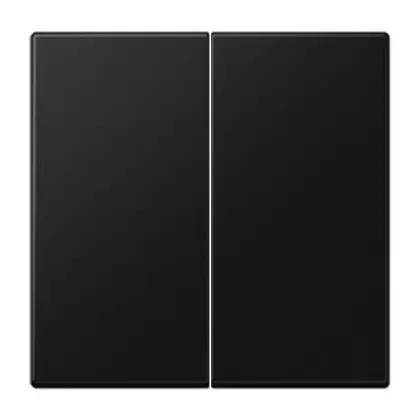 Двойная клавиша Jung LS LS995SWM черный матовый Двойная клавиша Jung LS LS995SWM черный матовый