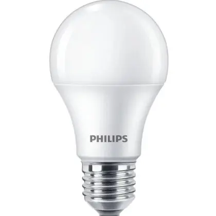 Светодиодная лампа Philips Ecohome LED ElectroGurt 11Вт 950Лм E27 865 RCA