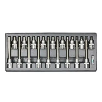 Набор головок со вставкой Whirlpower AN-SK56 (23303) Н5-Н19 Hex 1/2" (18шт в ложементе)
