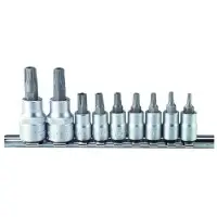 Набор головок со вставкой Whirlpower 1613-1510 (24309) 1/4" и 3/8" Torx (10шт)