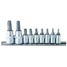 Набор головок со вставкой Whirlpower 1613-1510 (24309) 1/4" и 3/8" Torx (10шт)