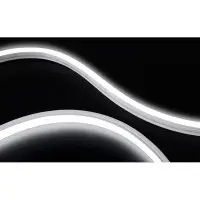 Гнучкий неон COLORS 24V-IP65 9,6W 280Lm 2300K 5м (NMS0612-SWW)