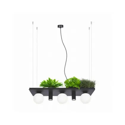 Люстра Zuma Line 5555 Shelf E14+GU10 5x10W IP20 Черная Люстра Zuma Line 5555 Shelf E14+GU10 5x10W IP20 Черная