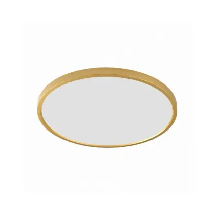 Светильник потолочный Zuma Line WM-BP1108-L-G Cami Led 1x48W 3000K/4000K/6000K 4297Lm IP20 Светильник потолочный Zuma Line WM-BP1108-L-G Cami Led 1x48W 3000K/4000K/6000K 4297Lm IP20
