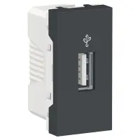 Розетка USB Schneider Electric NU342954 для передачи данных 1М (антрацит) Розетка USB Schneider Electric NU342954 для передачи данных 1М (антрацит)