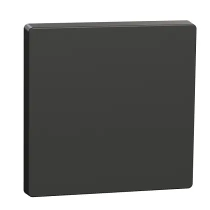 Одинарная клавиша Schneider Electric D-Life MTN3300-6034 антрацит Одинарная клавиша Schneider Electric D-Life MTN3300-6034 антрацит
