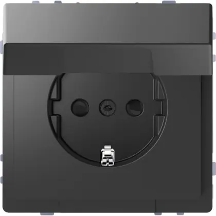 Розетка Schneider Electric D-Life MTN2310-6034 с з/к и крышкой антрацит