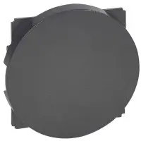 Заглушка Legrand Celiane (067943) (графіт) Заглушка Legrand Celiane (067943) (графіт)