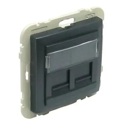 Подвійна комп'ютерна розетка Logus 21975 TIS RJ45 (Cat.5e) (сірий) Подвійна комп'ютерна розетка Logus 21975 TIS RJ45 (Cat.5e) (сірий)