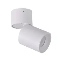 Светильник поворотный, спот Goldlux 314062 Astra GU10 1x10W IP20 белый Светильник поворотный, спот Goldlux 314062 Astra GU10 1x10W IP20 белый