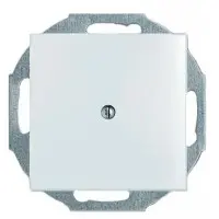Заглушка ABB Basic 55 2538-94-507 (белая) Заглушка ABB Basic 55 2538-94-507 (белая)