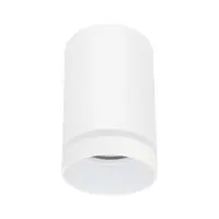 Точечный светильник Goldlux 319883 Fabri GU10 1x10W IP20 WH