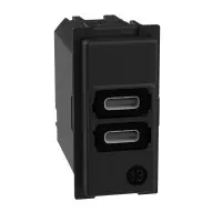 Механизм зарядного устройства USB 2 разъем тип - C/C 15 Вт/3000мА 1 модуль Bticino Living Now K4191CC