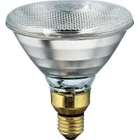 Світлодіодна лампа Philips PAR38 IR 100Вт E27 CL 1CT/12 Світлодіодна лампа Philips PAR38 IR 100Вт E27 CL 1CT/12