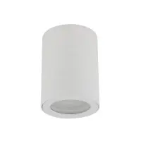 Точковий світильник TK Lighting 10932 Ligno GU10 1x10W IP44 білий