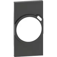 Лицьова панель електричної розетки з USB зарядкою Bticino Living Now KG63 на 2 модулі (чорна)