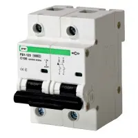 Електро-автомат Promfactor ECO FB1-125 2P C 100A 10кА (FB1C2100)