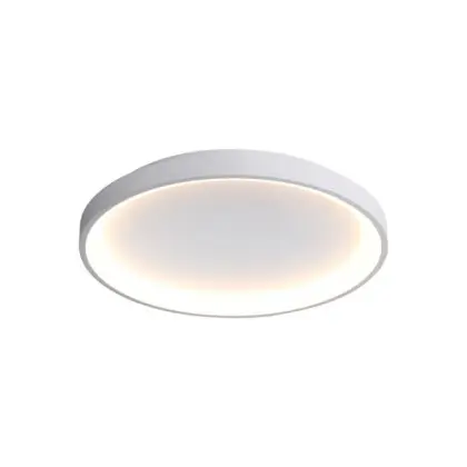 Потолочный светильник Italux CLN-3151-S-WH Raden LED 3000K-6000K 2400Lm IP20 белый