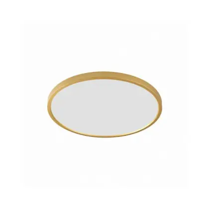 Светильник потолочный Zuma Line WM-BP1108-M-G Cami Led 1x42W 3000K/4000K/6000K 3480Lm IP20 Светильник потолочный Zuma Line WM-BP1108-M-G Cami Led 1x42W 3000K/4000K/6000K 3480Lm IP20