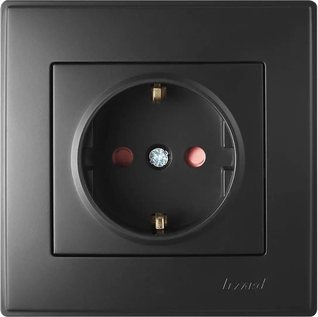 Розетка Lezard «Lesya» 705-4242-124B із захистом від дітей (антрацит)