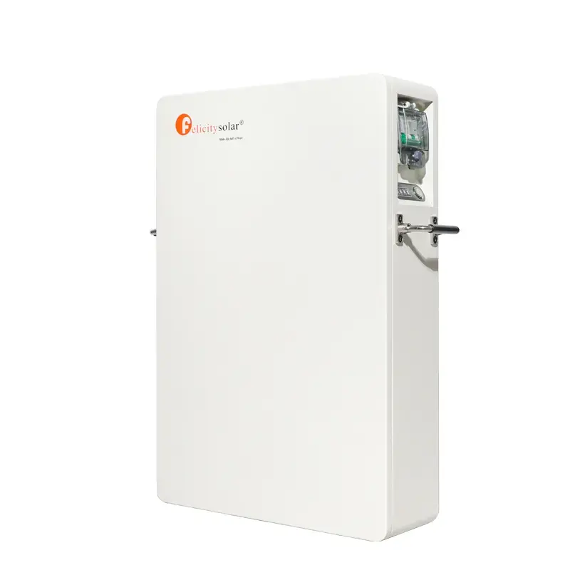 LUX-E-48100LG04 Felicity (LiFePO4 51,2V 100Ah 5kWh) - фото №3 LUX-E-48100LG04 Felicity (LiFePO4 51,2V 100Ah 5kWh) - фото №3