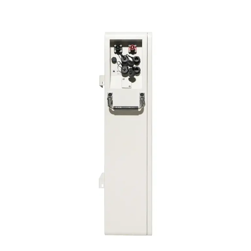 LUX-E-48100LG04 Felicity (LiFePO4 51,2V 100Ah 5kWh) - фото №4 LUX-E-48100LG04 Felicity (LiFePO4 51,2V 100Ah 5kWh) - фото №4