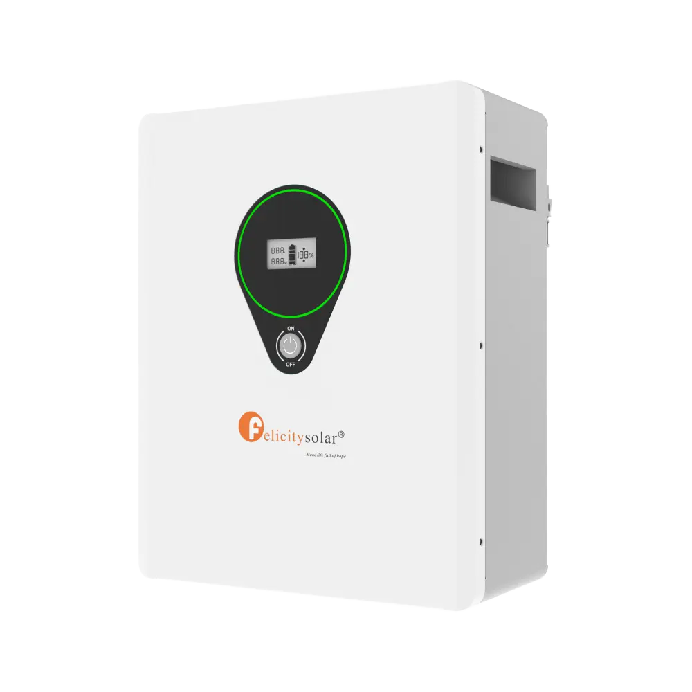 LPBF24100-M Felicity (LiFePO4 25,6V 100Ah 2,5kWh)