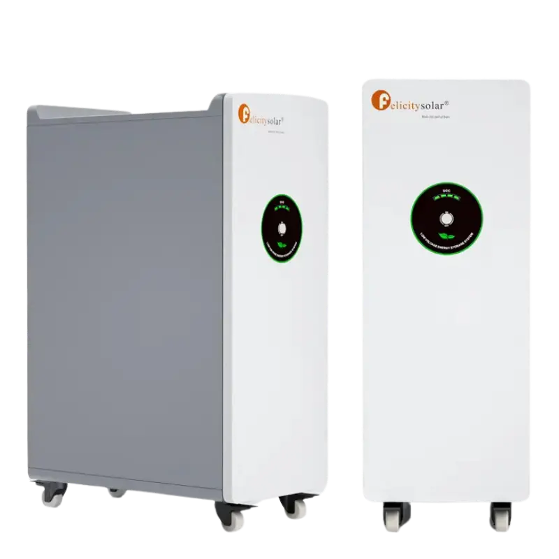 LPBF48300 Felicity (LiFePO4 51,2V 300Ah 15kWh) LPBF48300 Felicity (LiFePO4 51,2V 300Ah 15kWh)