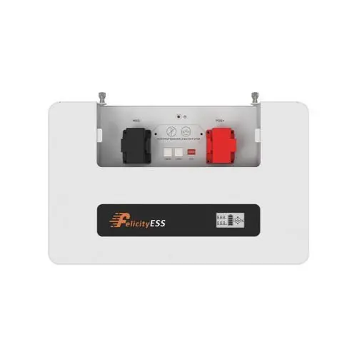 LUX-Y-48300LG01 Felicity (LiFePO4 51,2V 300Ah 15kWh) - фото №6