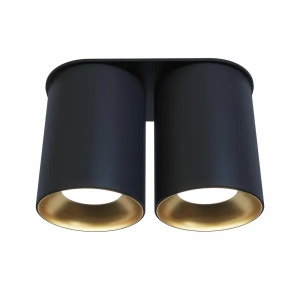 Точковий світильник Pikart 29700-2 BP_80_DUO GU10 2x60W IP20 Bl+Gold - фото №1