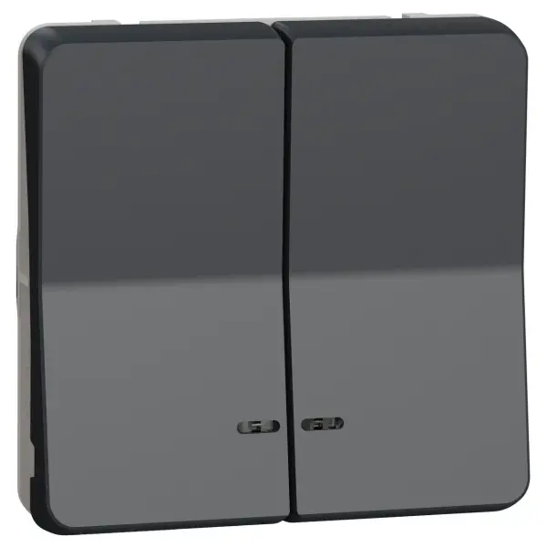 Двухклавишный кнопочный выключатель Schneider Electric MUR35228 с подсветкой IP55 (черный) Двухклавишный кнопочный выключатель Schneider Electric MUR35228 с подсветкой IP55 (черный)