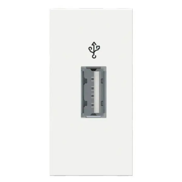Розетка USB Schneider Electric NU342918 для передачи данных 1М (белый) - фото №1 Розетка USB Schneider Electric NU342918 для передачи данных 1М (белый) - фото №1