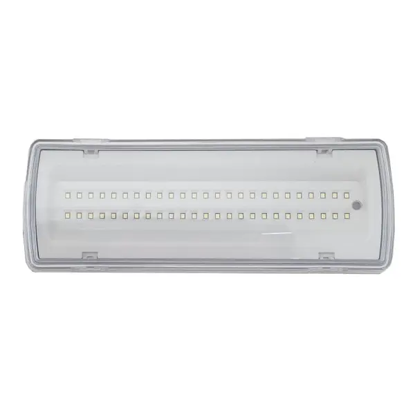 Евакуаційний світильник TNSy UJ02-50LED-4W-6500K-3H-400L-IP65 (TNSy5000560) Евакуаційний світильник TNSy UJ02-50LED-4W-6500K-3H-400L-IP65 (TNSy5000560)