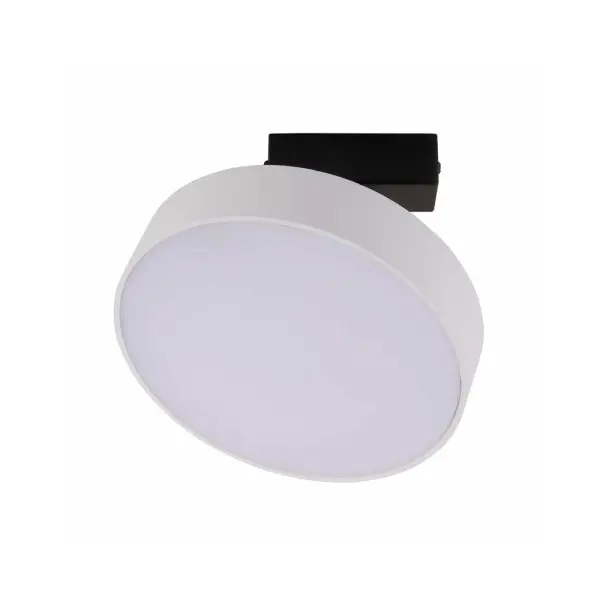 Светильник потолочный MJ-Light MJ00185 8306WC LED 1x24W 4000K 1920Lm IP20