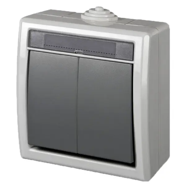 Выключатель накладной 2-кл. серый Elektro-Plast Aquant IP55