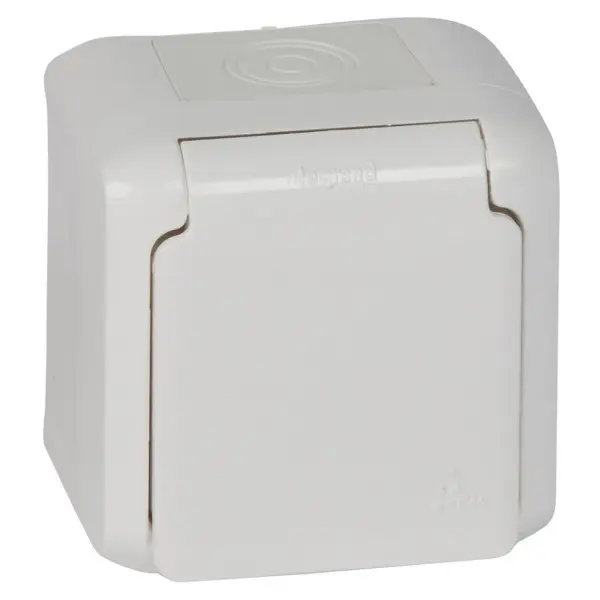 Розетка 2К+З Legrand Forix біла