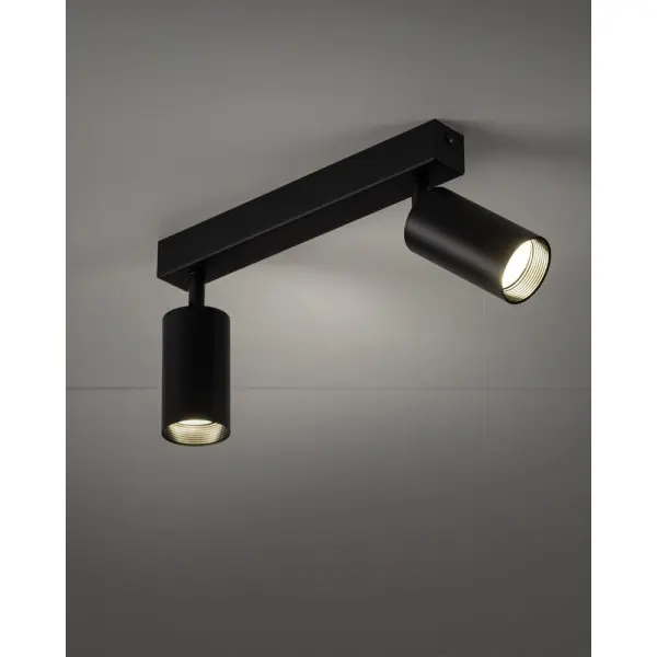 Светильник поворотный, спот TK Lighting 10633 Amis GU10 2x10W IP20 черный - фото №2 Светильник поворотный, спот TK Lighting 10633 Amis GU10 2x10W IP20 черный - фото №2