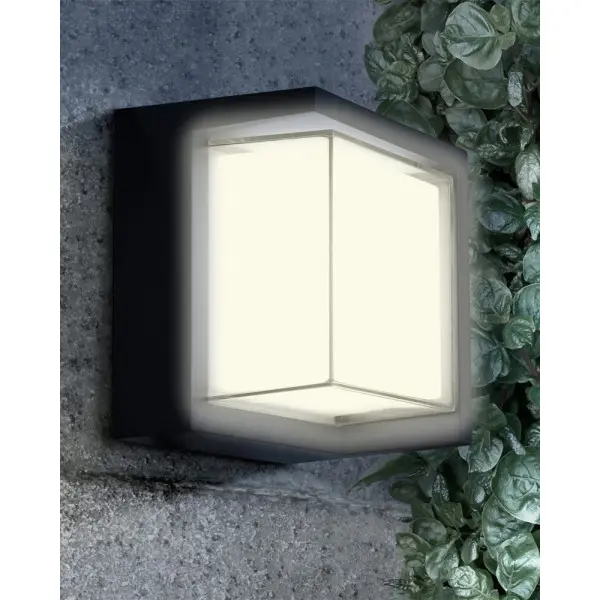 Уличный светильник Goldlux 330963 Essen LED 1x12W 4000K 1400Lm IP44 черный - фото №3