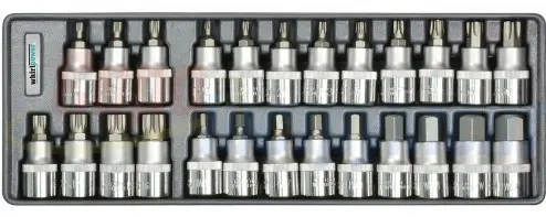 Набор головок со вставкой Whirlpower AN-SK53 (23299) 1/2" Hex Torx Spline (25шт в ложементе)