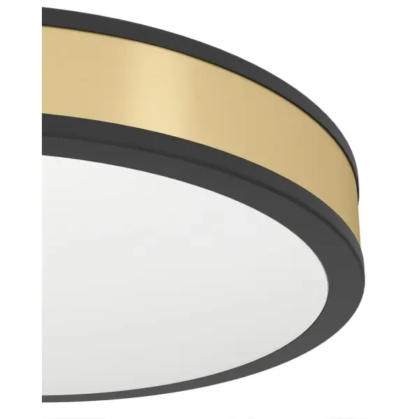 Потолочный светильник Eglo 99407 Pescaito LED 1x24W 3000K 2500Lm IP20 черный - фото №2 Потолочный светильник Eglo 99407 Pescaito LED 1x24W 3000K 2500Lm IP20 черный - фото №2