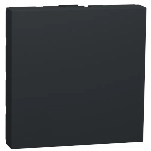 Заглушка Schneider Electric NU986654 для розетки 45х45 (антрацит) Заглушка Schneider Electric NU986654 для розетки 45х45 (антрацит)