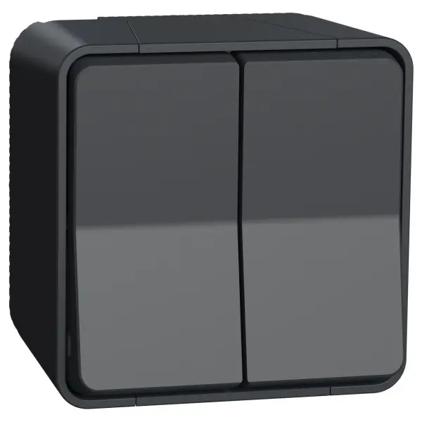 Накладний прохідний 2-клавішний перемикач Schneider Electric MUR35022 (сх.6+6) IP55 (чорний)