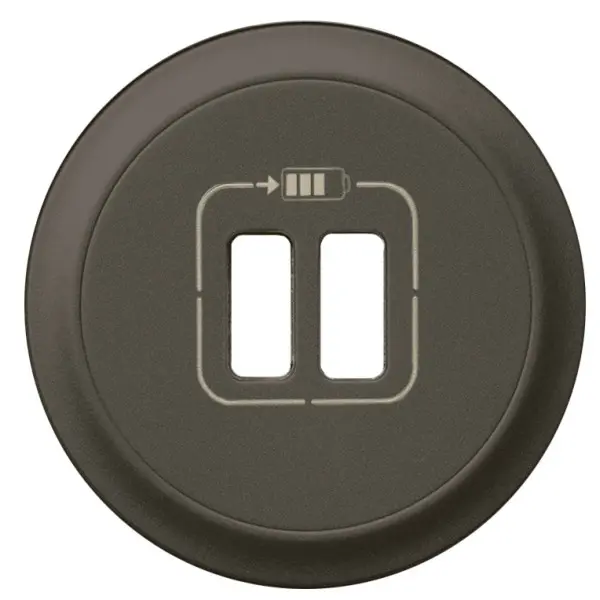 Накладка 2хUSB розетки Legrand Celiane (067956) (графит)