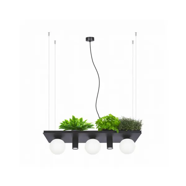 Люстра Zuma Line 5555 Shelf E14+GU10 5x10W IP20 Чорна