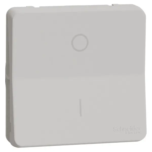Двополюсний вимикач Schneider Electric MUR39033 IP55 (білий)